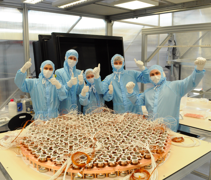 XENONnT PMT assembly