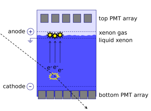 Schematic drawing of the principle of detection used by the XENON100 experiment.