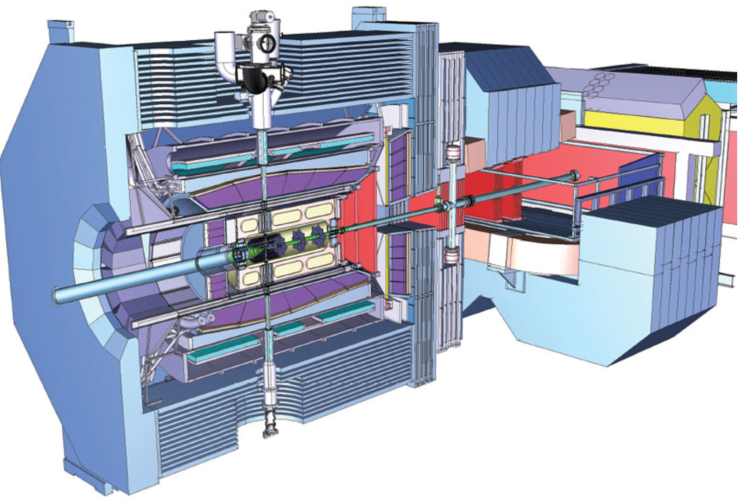 Schematic view of the PANDA detector.