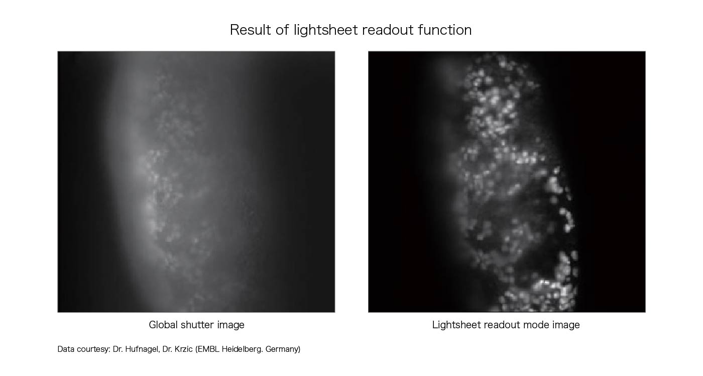 Result of lightsheet readout function
