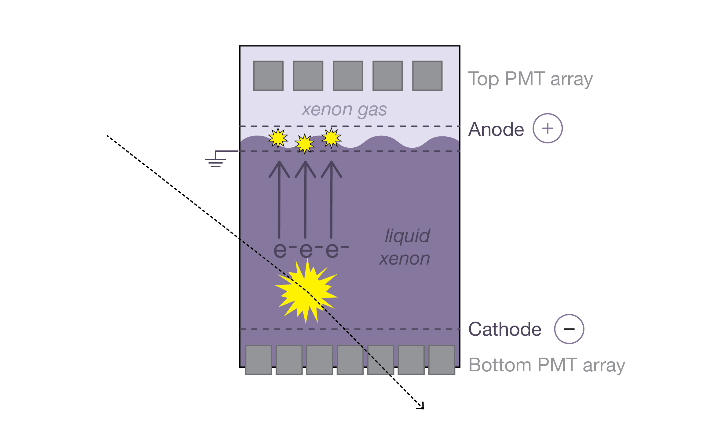 Photon Counting in Astroparticle Physics, schematic drawing of the principle of detection used by the XENON100 experiment.