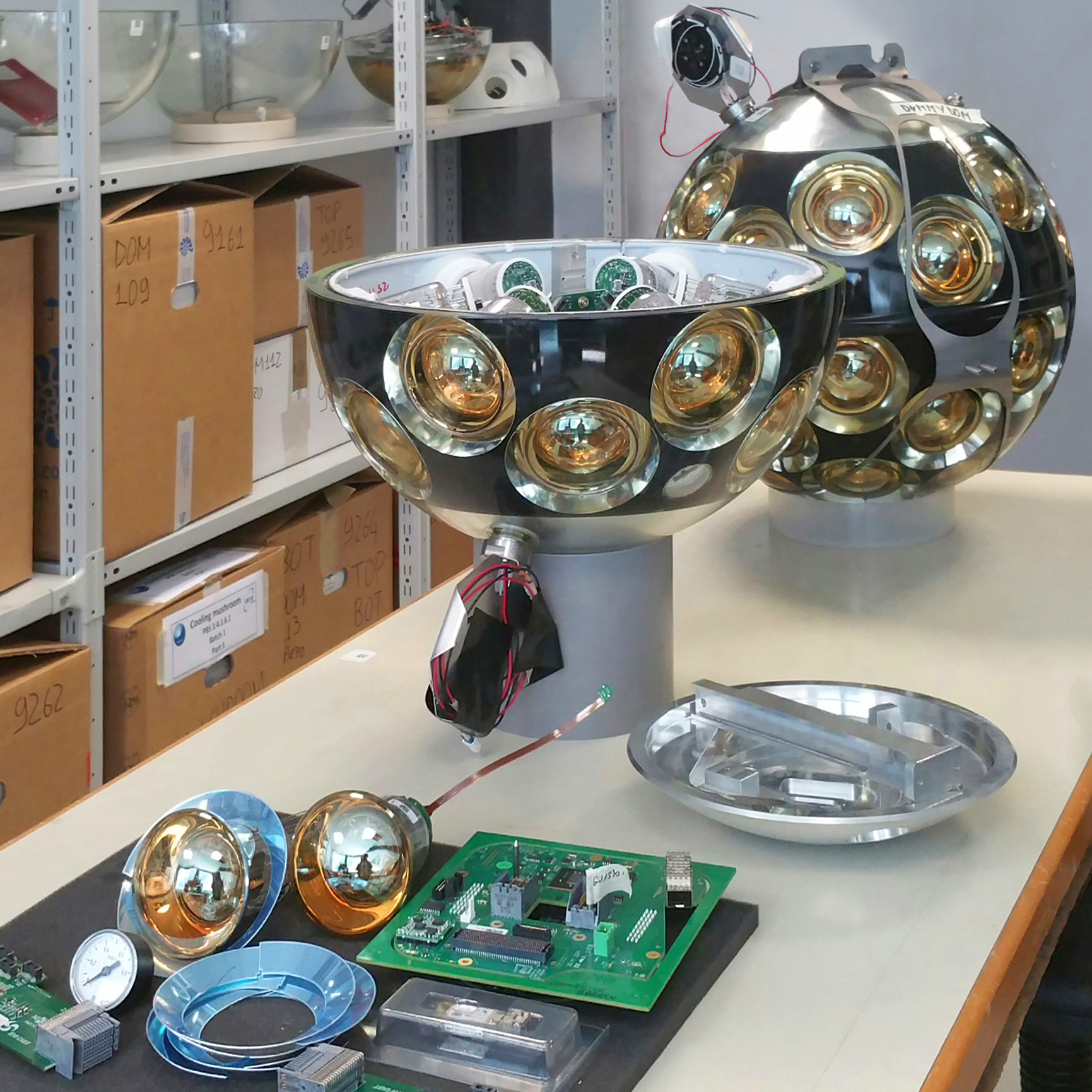 Digital Optical Module