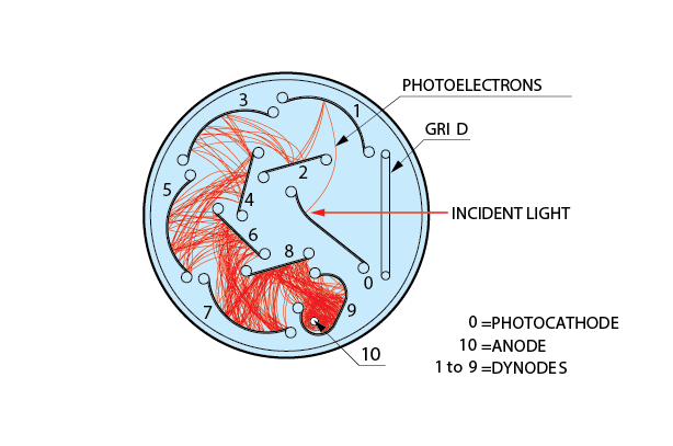 Circular-cage type