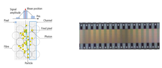 Simulation example of signal generation in the SciFi tracker