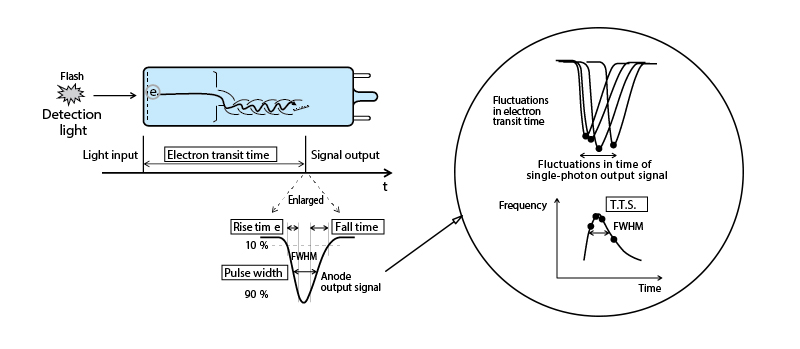 Concept of time characteristics